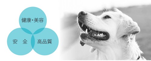リペアン デンタルクリーナー 犬・猫の歯石を落とす歯磨き粉